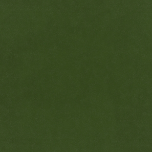 Conifer