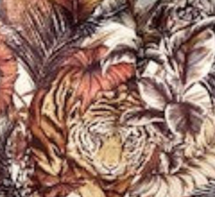 Bengal Tiger Collection